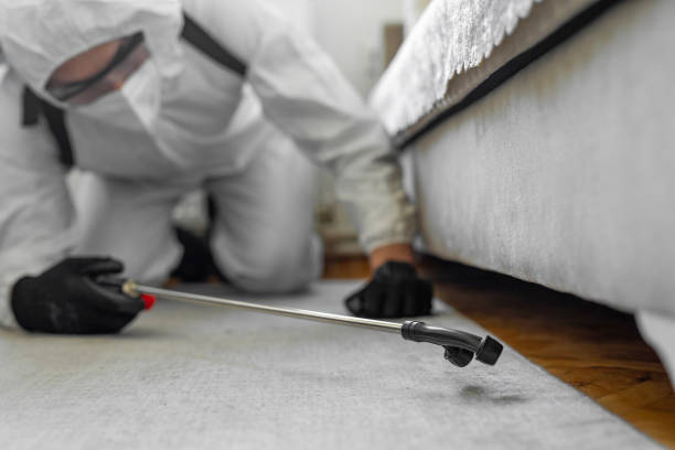 Professional Bed Bug Control technician working in Johnson County County, TN